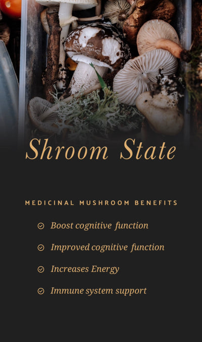 Shroom State (Mushroom 10X)